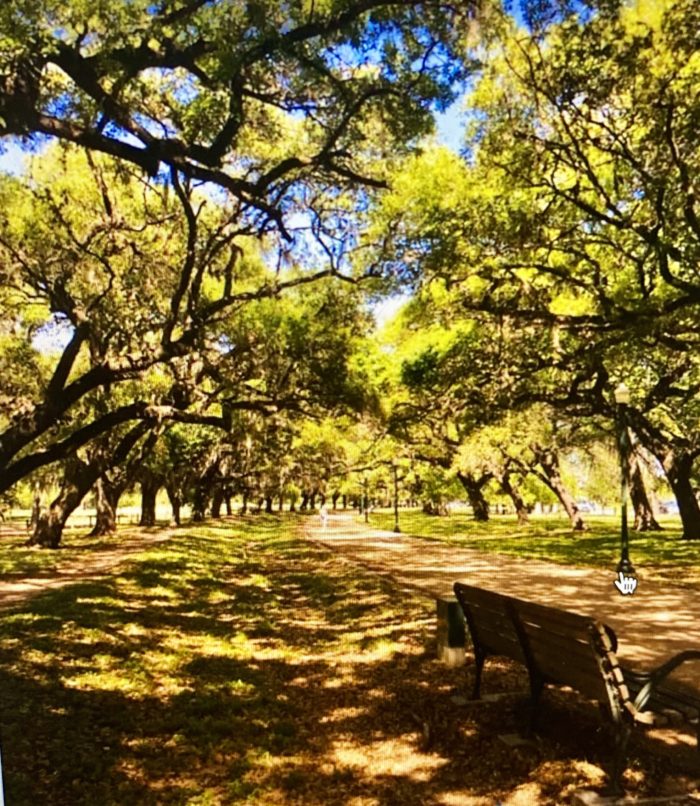 Hermann Park