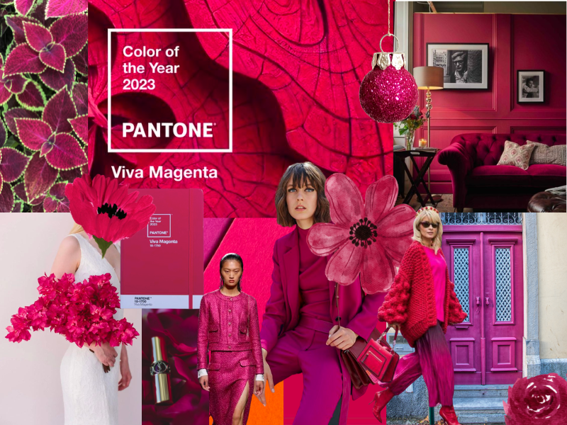 PANTONE® USA, PANTONE® 17-1937 TCX - Find a Pantone Color